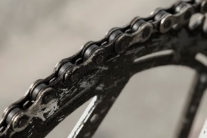 Canon EF 100mm f/2.8L Macro - Chain